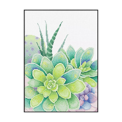 Mexican Gem Succulent Plant Stamped Cross Stitch Kit, 15.7" x 19.7"